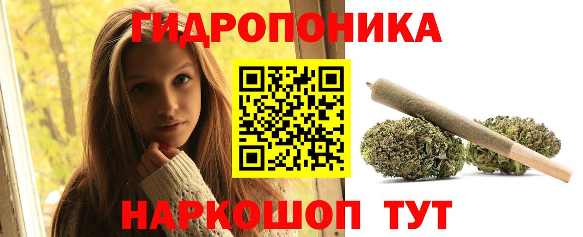 Канабис Amnesia  Канабис тримм  Вход с VPN  Канабис конопля  Шишки марихуана OG Kush  Ирбит 